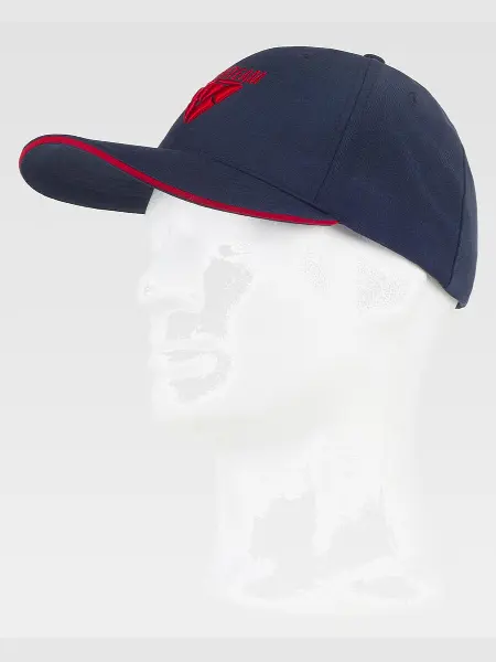 Cappello Visiera Curva 6 Pannelli Logo Workteam all'ingrosso