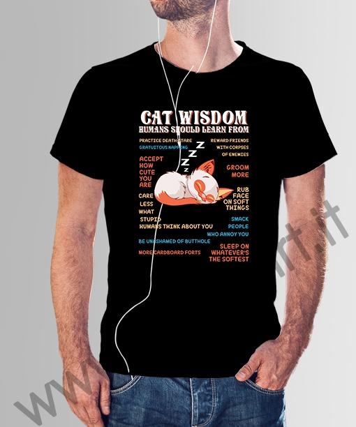 cat wisdom 010