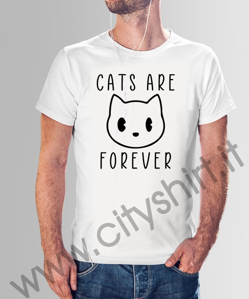 cats are forever 015