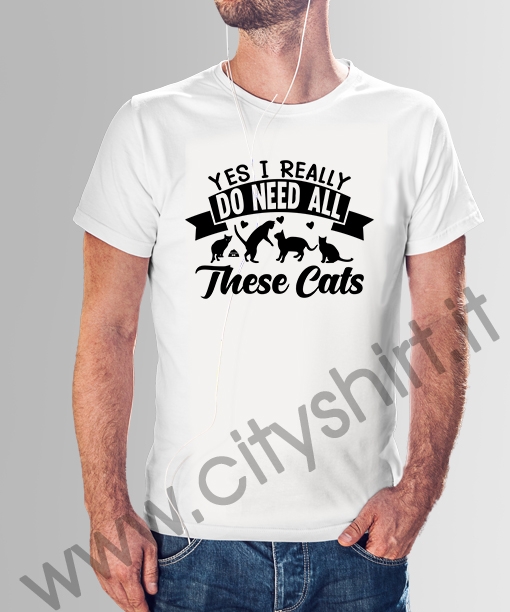 yes i really do need all these cats 028