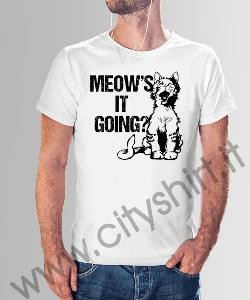meow's it going? 031