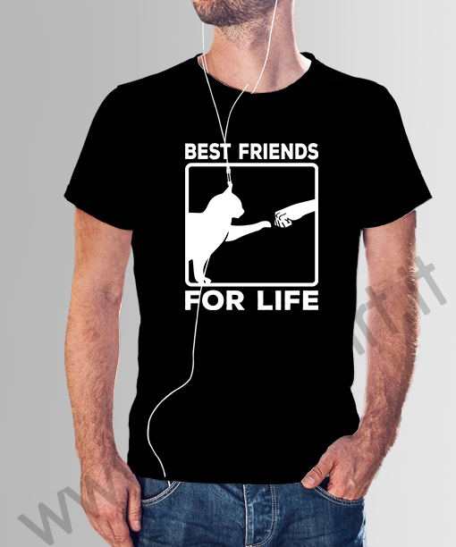 cat best friend for life 049