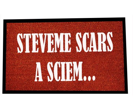 zerbino-steveme-scars