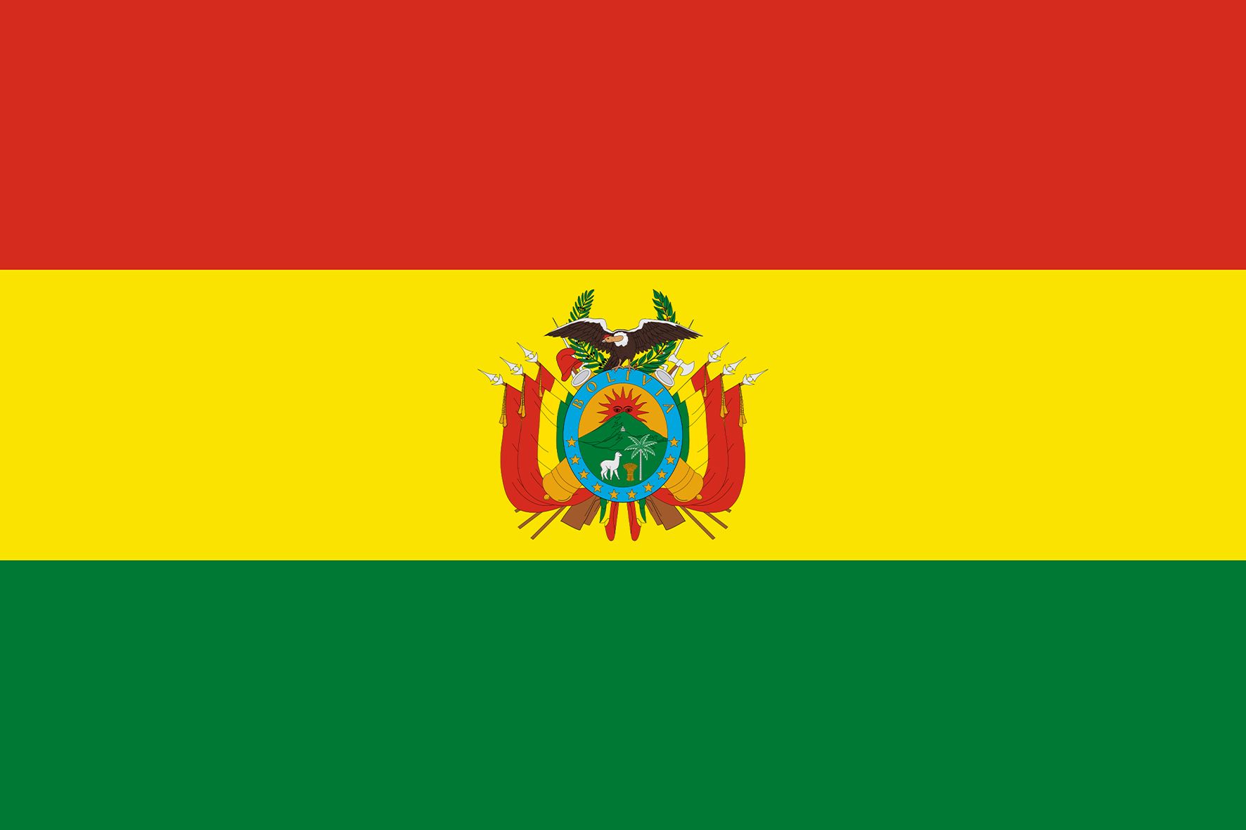 Bandiere Bolivia 70x100 cm -