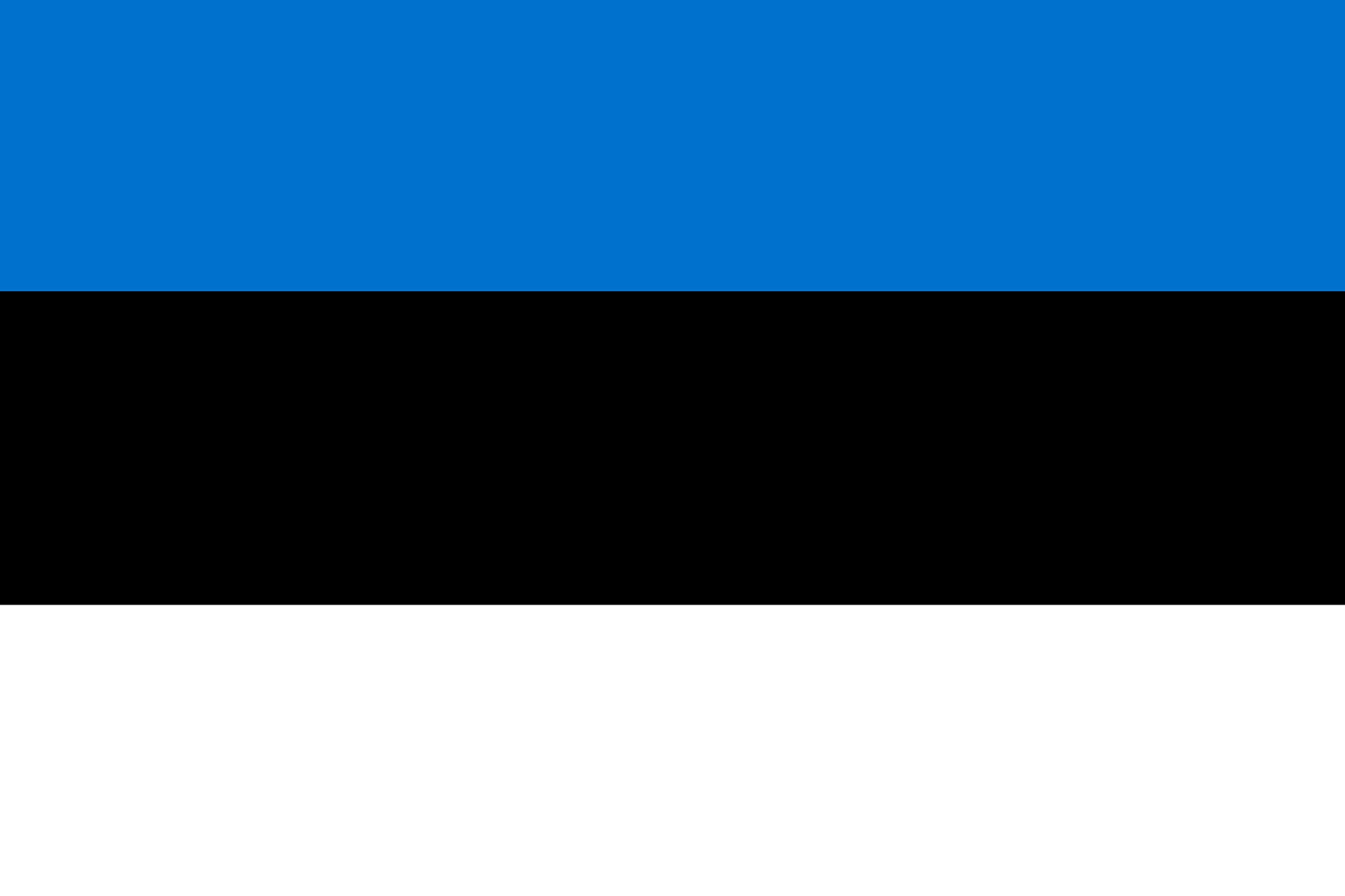 Bandiere Estonia 70x100 cm -