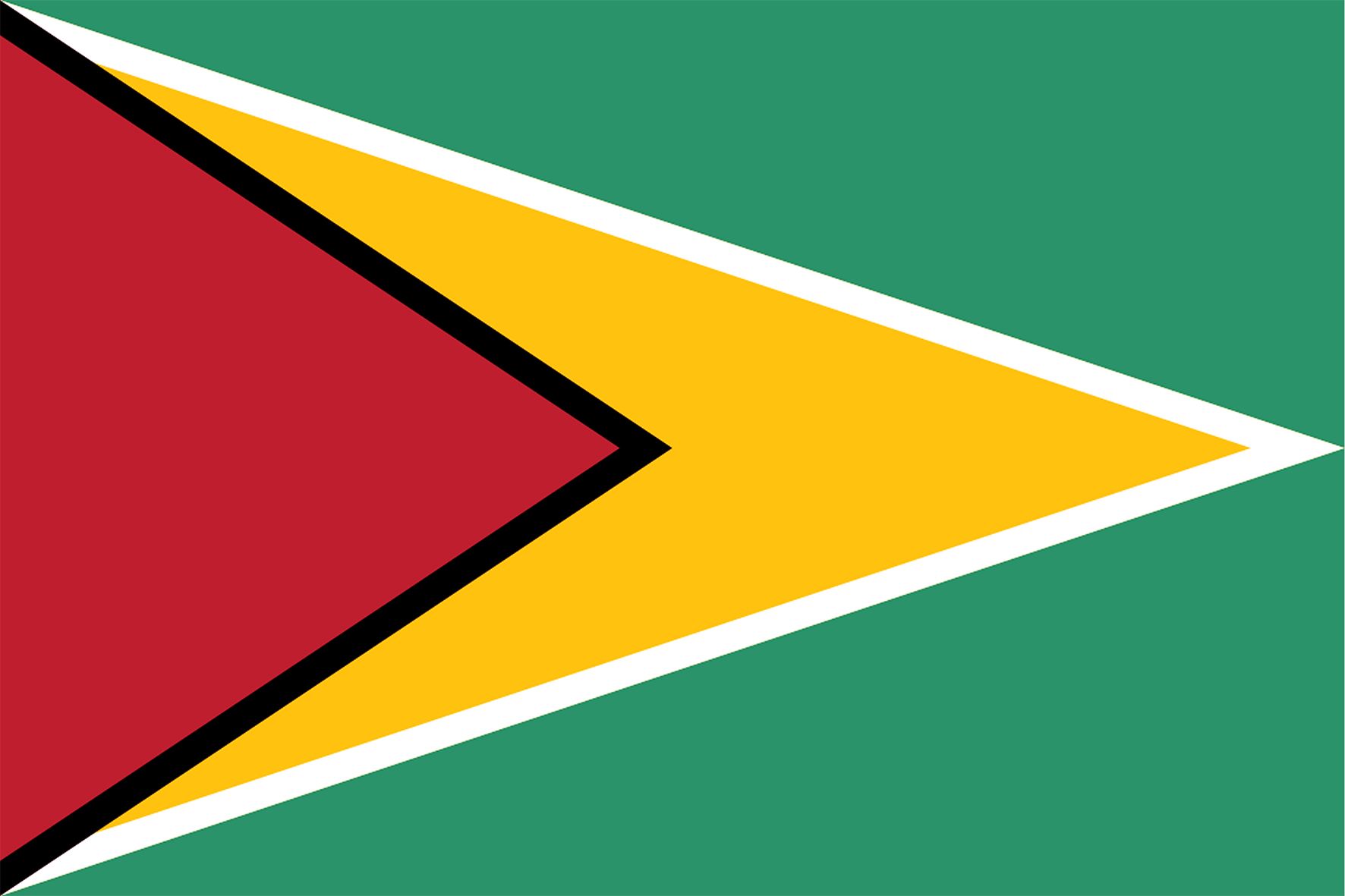 Bandiere Guyana 70x100 cm -