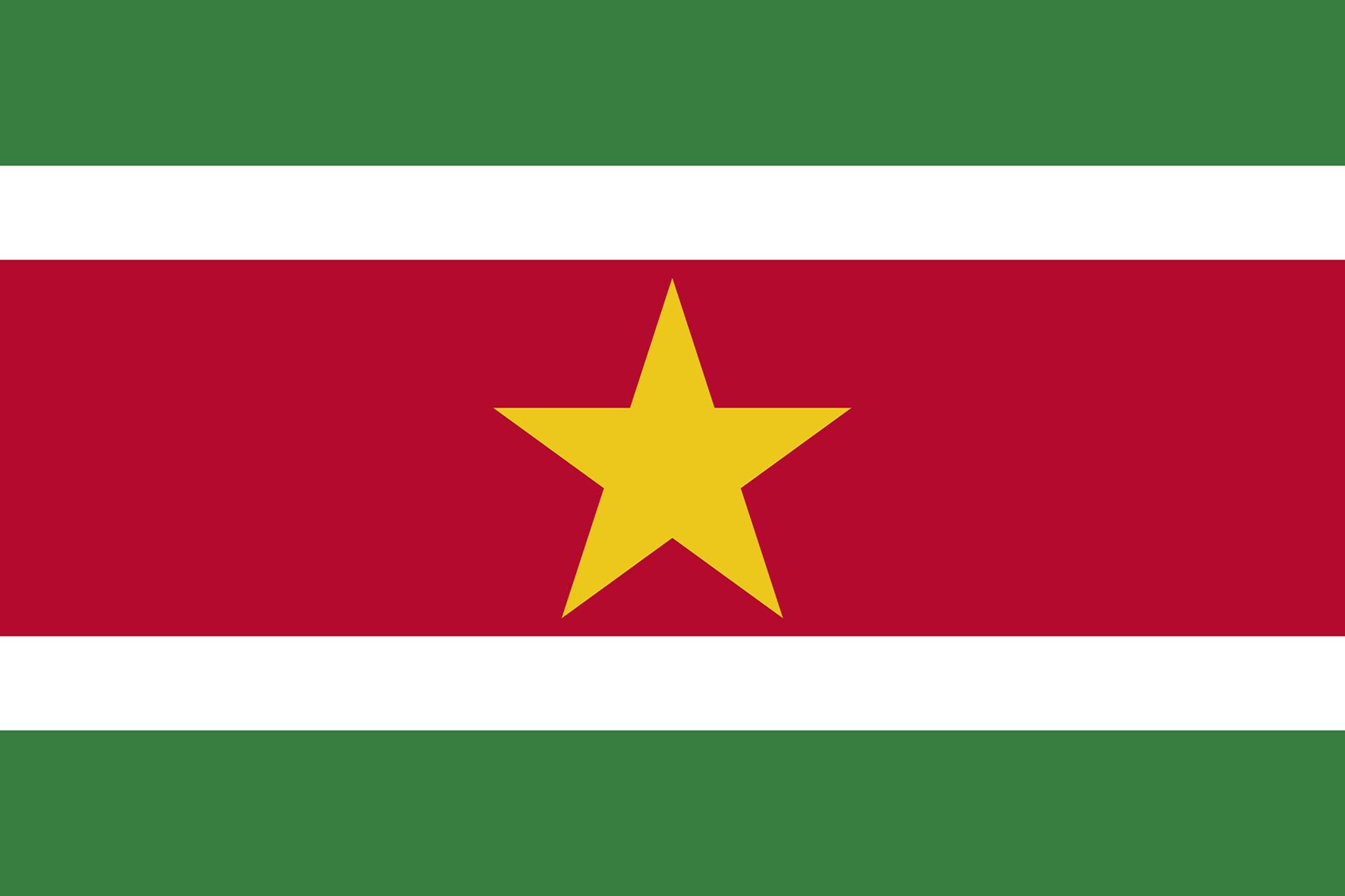 Bandiere Suriname 70x100 cm -