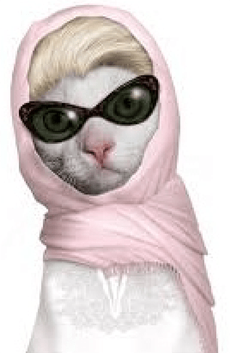 25 Cat Star 2
